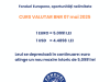 Leul se depreciază în continuare: euro atinge un nou maxim istoric de 5,0991 lei Curs valutar BNR